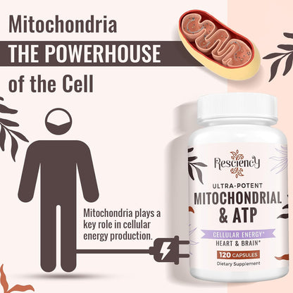 Unlock Your Energy Potential: 2326 MG Mitochondrial Supplements with ATP, CoQ10, PQQ & More - Boost Endurance, Strength, Recovery & Muscle - 120 Organic Capsules