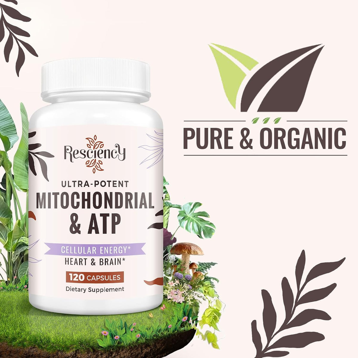 Unlock Your Energy Potential: 2326 MG Mitochondrial Supplements with ATP, CoQ10, PQQ & More - Boost Endurance, Strength, Recovery & Muscle - 120 Organic Capsules